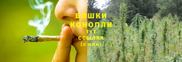 крисы Россошь