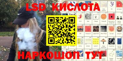 гидропоника Камышлов
