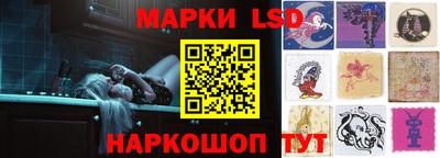 гидропоника Камышлов