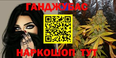 гидропоника Камышлов