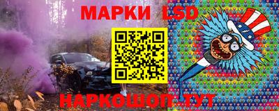 гидропоника Камышлов
